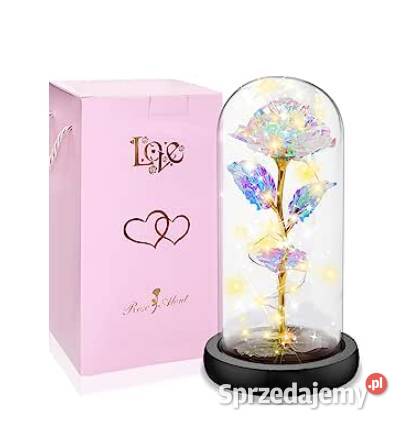 Wieczna Róża w Słoiku z Światłem LED Kompozycje kwiatowe świętokrzyskie Skarżysko-Kamienna