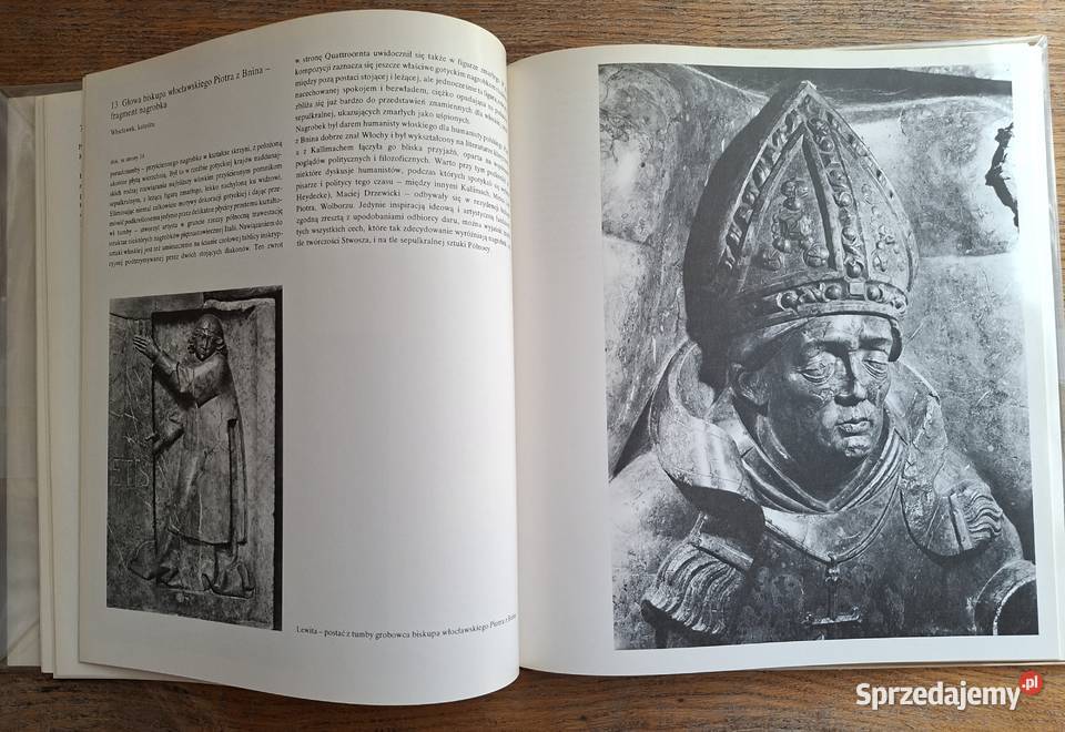 W kręgu sztuki Wit Stwosz Arkady Kraków