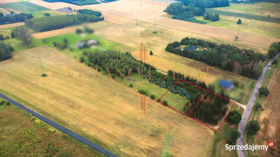 Działka budowlana 1800 m z lasem Media Gąba