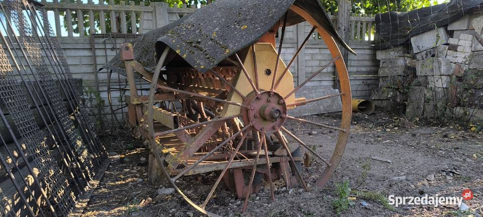 Siewnik zbożowy Morawica