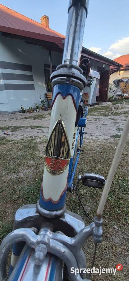 Rowery miejskie i męskie Władysławów