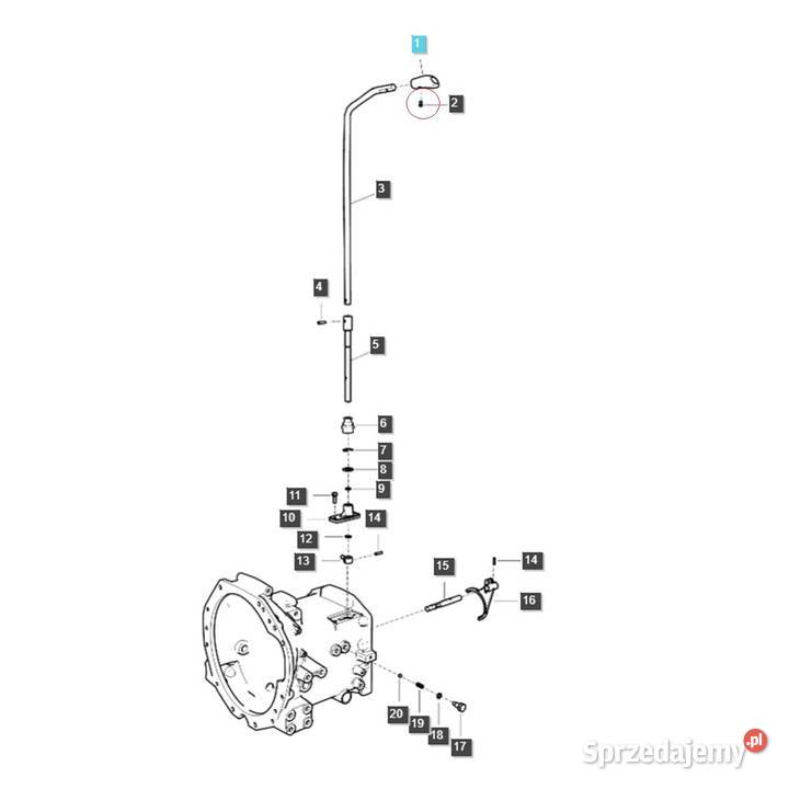 Śruba M5 x 080 x 10 LS XJ25 LS MT125 LS MT335 LS Pozostałe Tajęcina