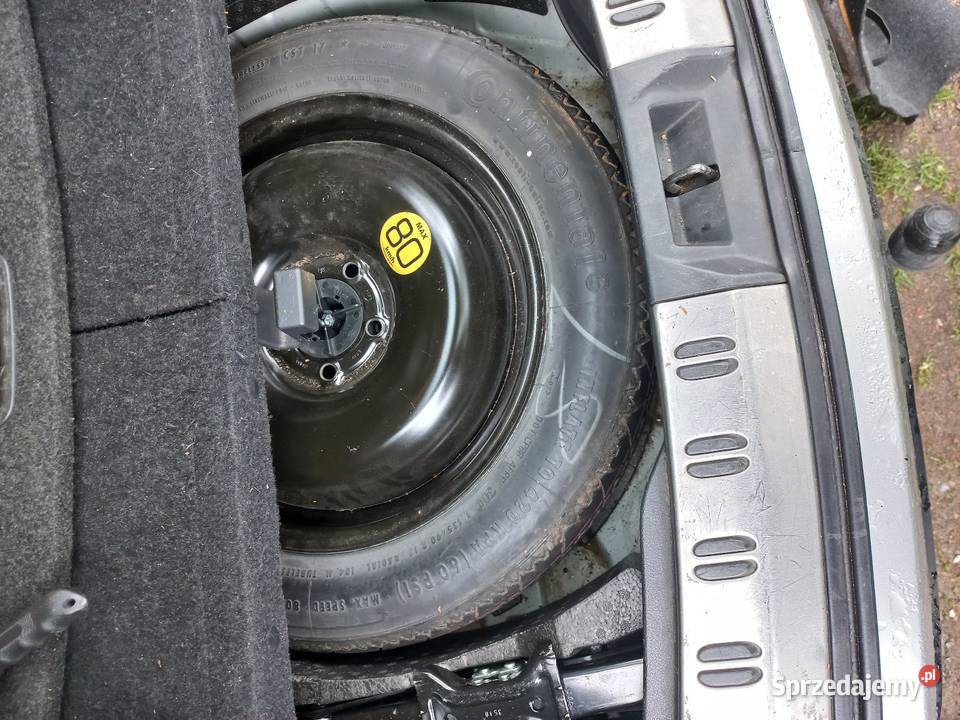 Tzsis Gubin sprzedam