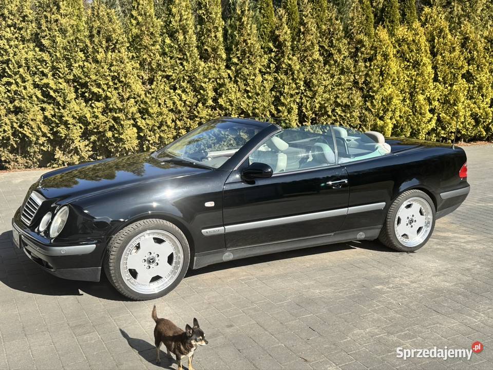 CLK Cabrio stan kolekcjonerski wszystko nowe Rok produkcji 1998 małopolskie Sieniczno