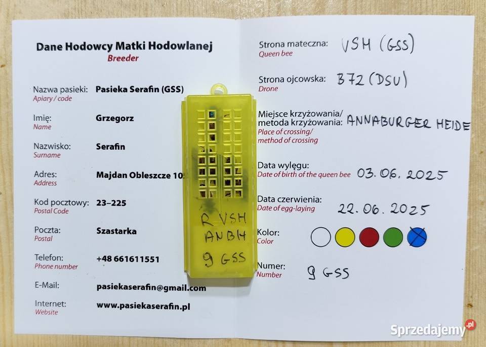 ręki Unasiennione Buckfast VSH matki pszczele Wolinia