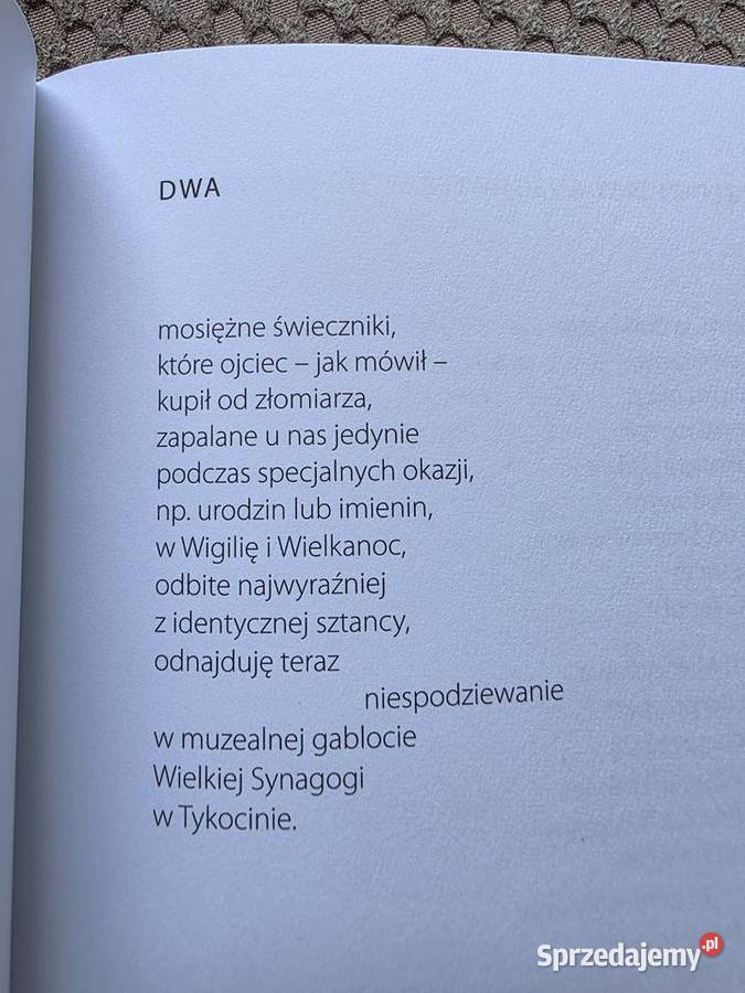 Wojciech Wilczyk Realizm miękka