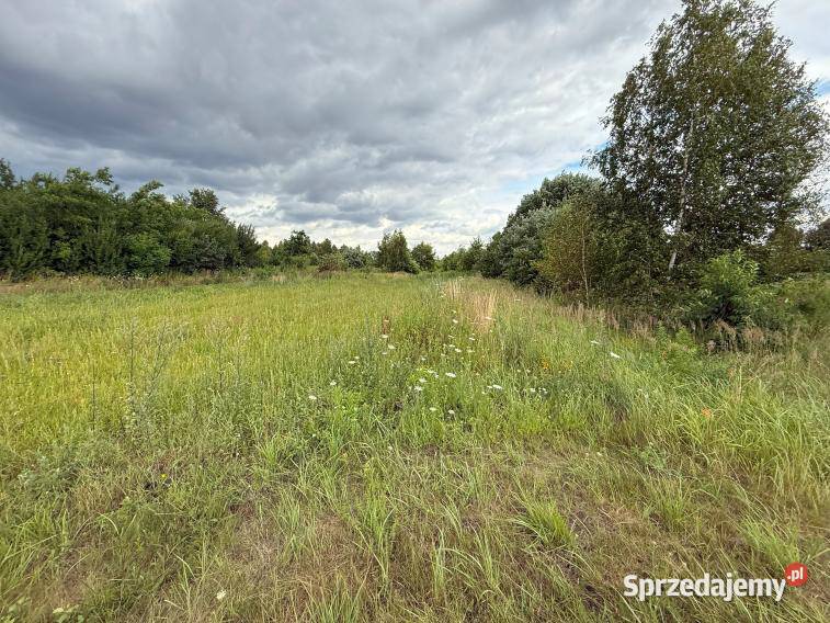 Udział 18 w niezabudowanej działce Radostków-Kolonia sprzedam