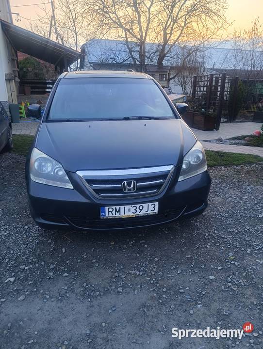 Honda odyssey Borowa