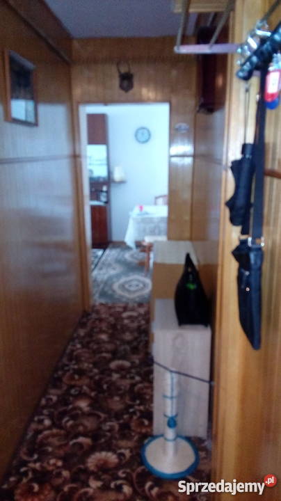 sprzedam mieszkanie Płońsk 455 m2 664374704 Mieszkania