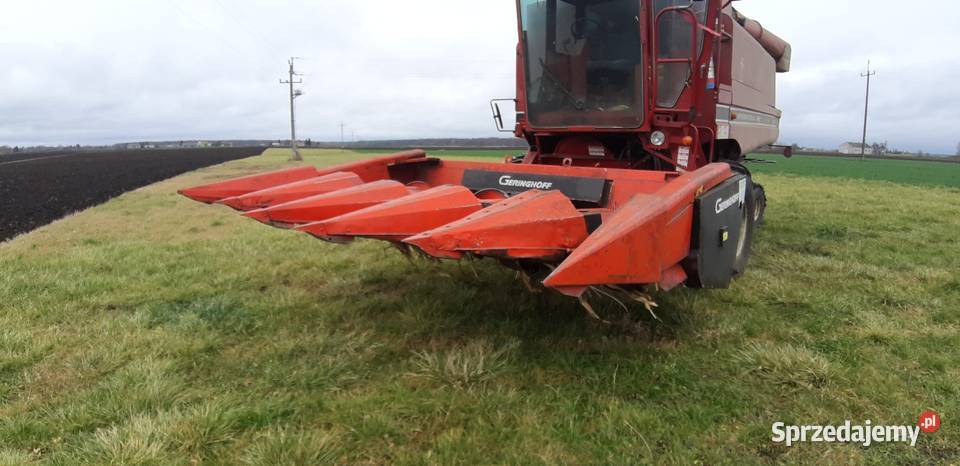Przystawka do kukurydzy geringhoff pc Hrubieszów