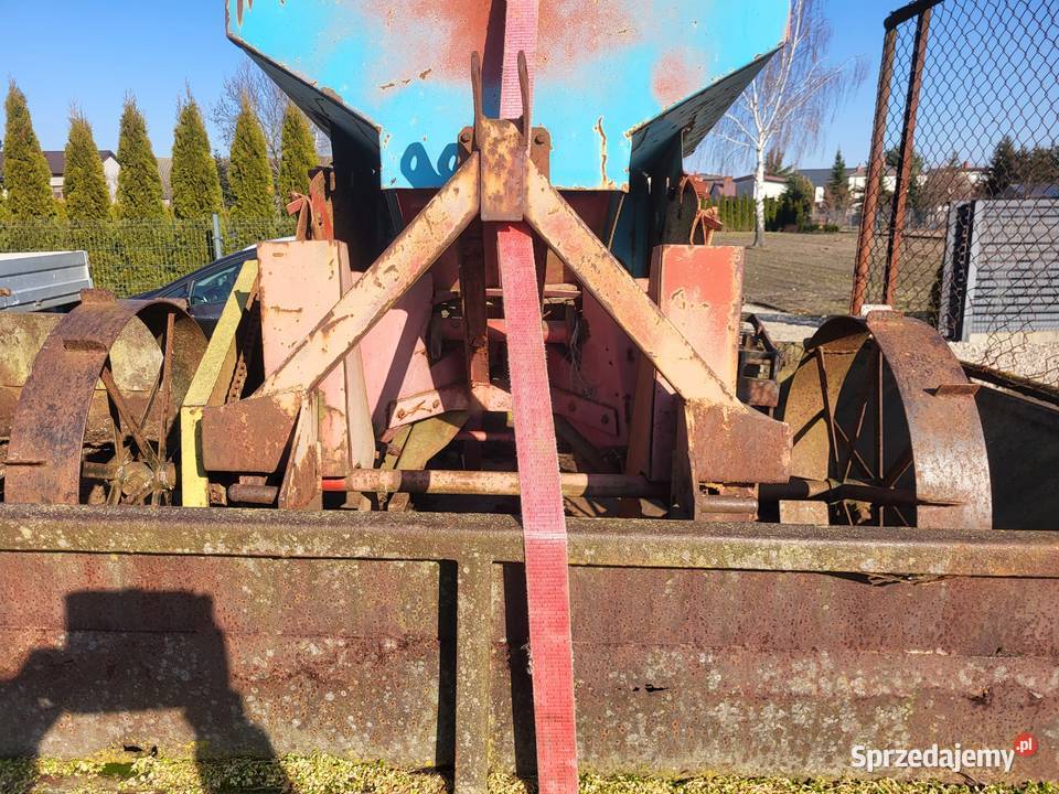 Sadzarka solan lublin Wiskitki