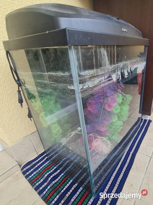 Akwarium 75 L z pokrywą Aquael mazowieckie