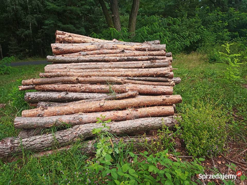 Brzoza sosna akacja wałki drewno suche m3 Rolnictwo Wągrodno
