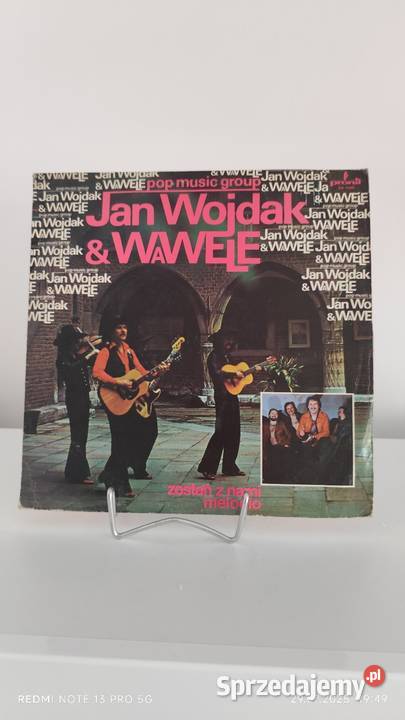 Płyty Winylowe Wiązów