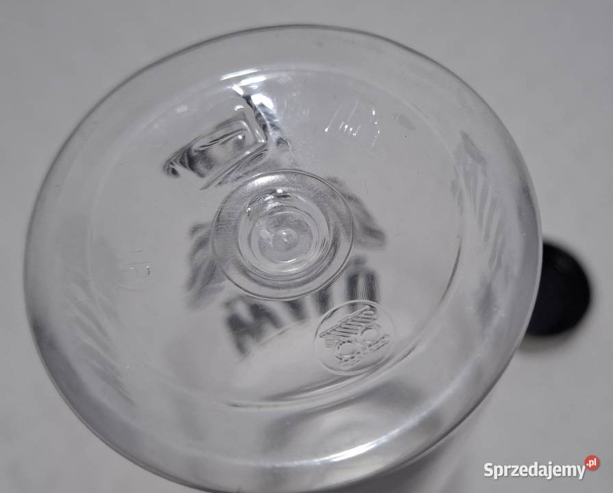 Butelka na wodę bidon Wild and Free 05L Czeladź