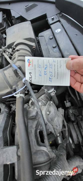 KIA RIO Salon Polska Grodzisk Mazowiecki