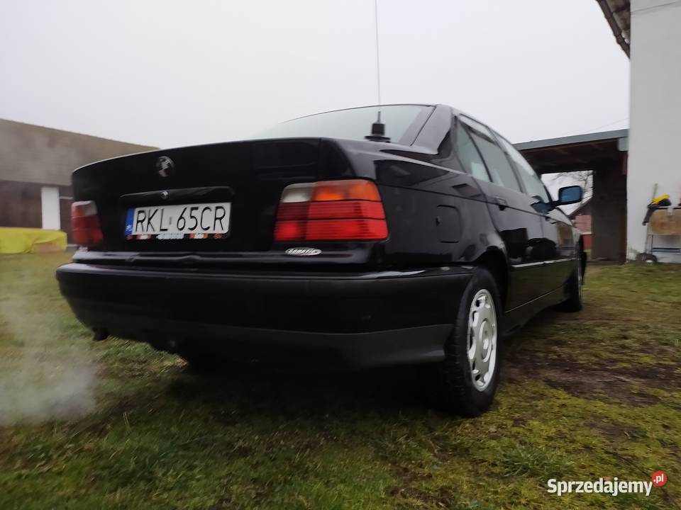BMW E36 Cmolas Sprzedajemy.pl