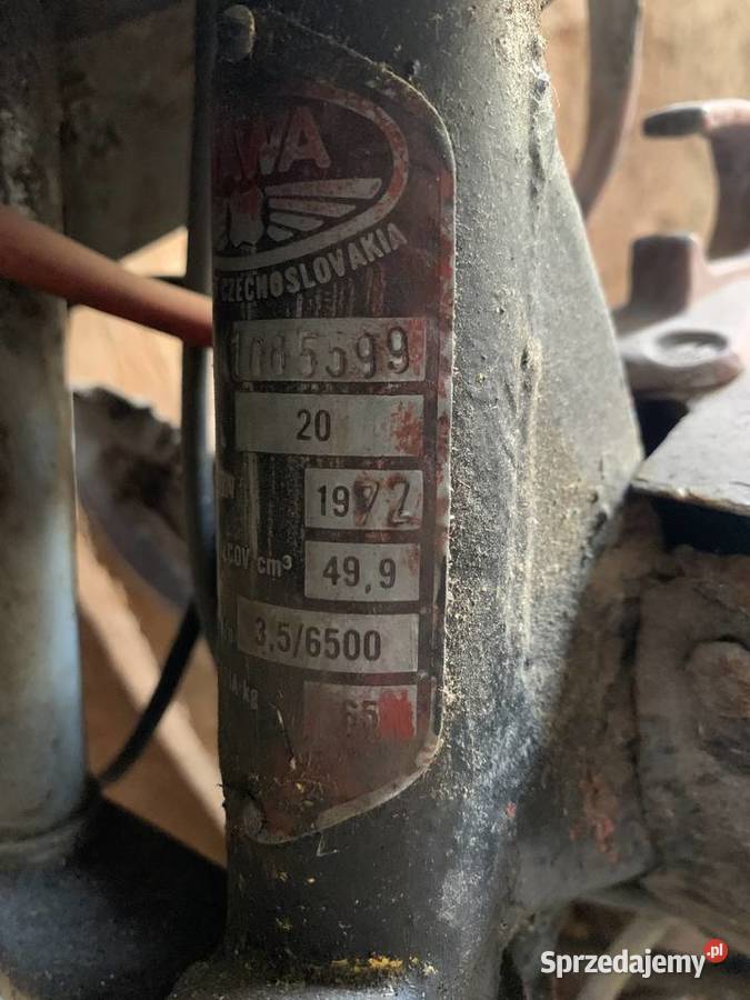 Jawa kaczka Jawa Brzeg