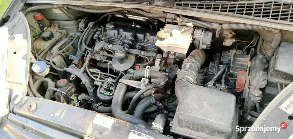 Citroen Xsara Picasso 20 Hdi 2cm3 Brodnia Górna