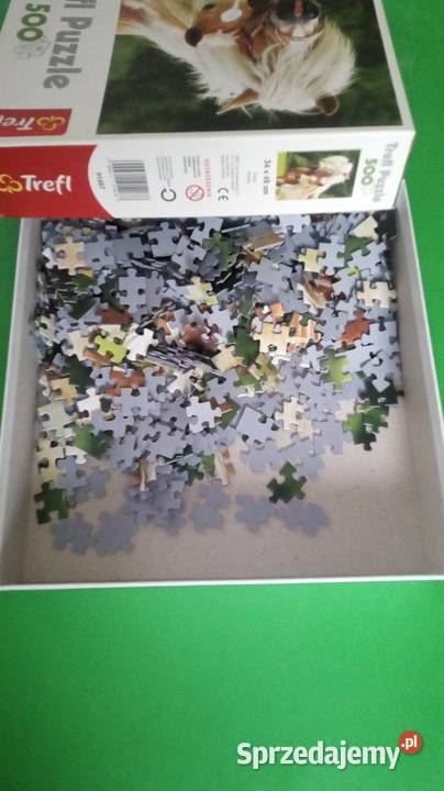 Puzzle trefl młodzieży Warszawa