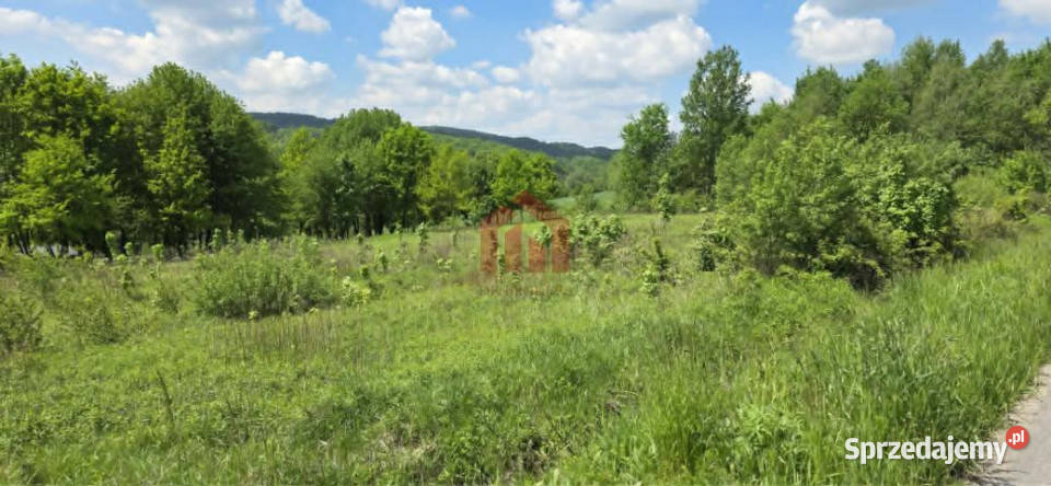 Działka 5200m2 Dębowa kanalizacja Grunty i działki