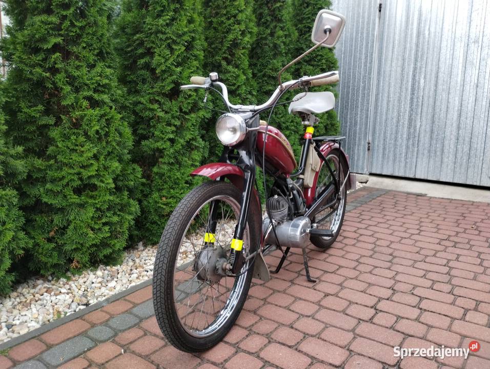 Komar sztywniak 68r Ślesin