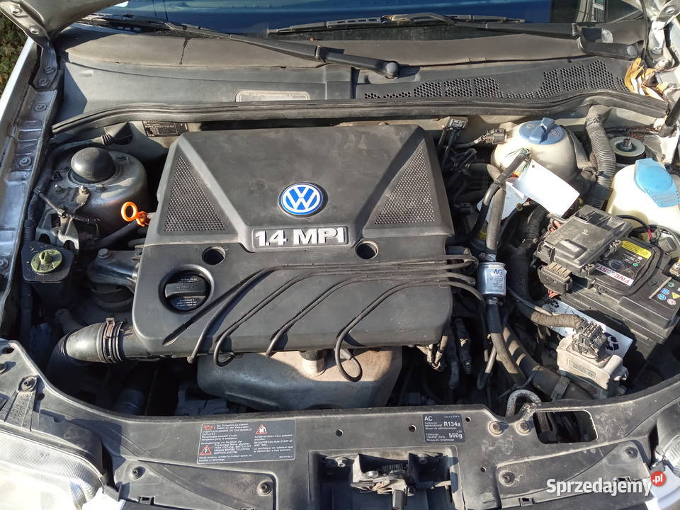 Polo 14Mpi BG Kielce