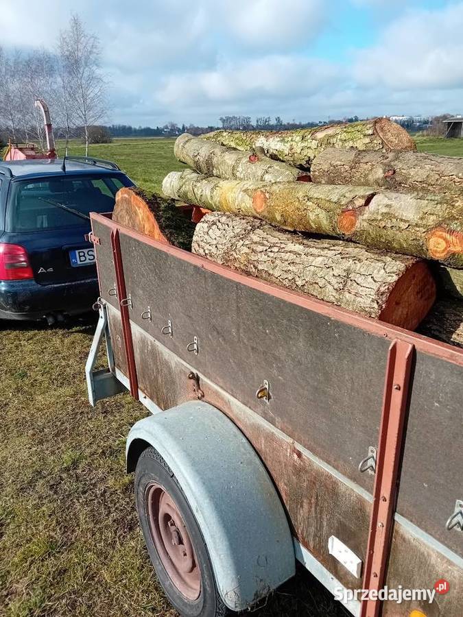 Przyczepka Paul Berger Sokółka