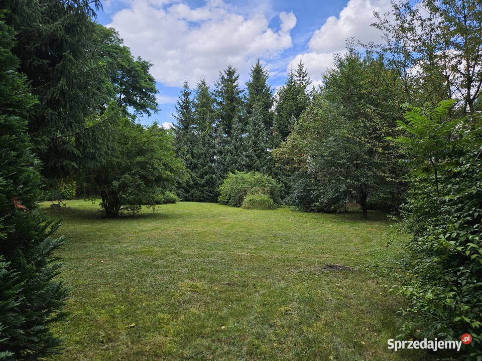 Działka budowlana 1798 m domek gospodarczy 37 m Sprzedaż Nieruchomości Borowiczki-Pieńki