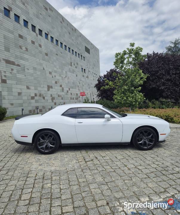 Dodge Challenger SXT 36 V6 2020 305 nieuszkodzony Wrocław