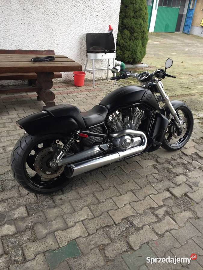 Harley Davidson v rod Muscle chopper