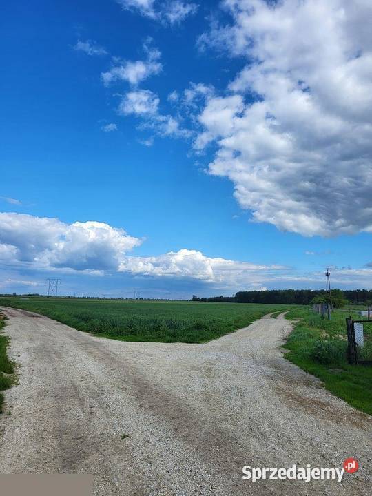 Działka budowlana Oleśnica Smolna dolnośląskie woda dolnośląskie sprzedam