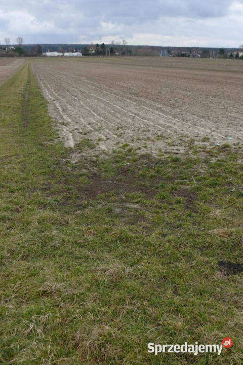 Działka w doskonałej lokalizacji5 min Zalewu