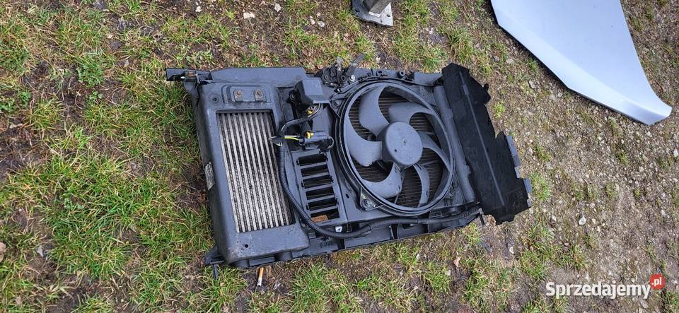 Peugeot 307 Fl Maska zderzak Przód Lampa błotnik Gorzyce