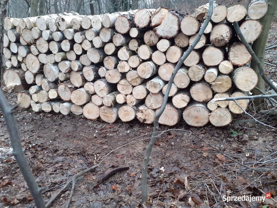 Drzewo metry podkarpackie Smarżowa sprzedam