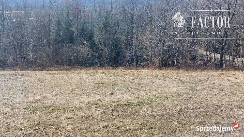 Widokowa działka budowlanorolna 1846 ara Bieśnik budowlana