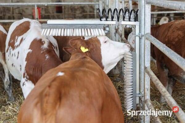 Sprężyna czochradła bydła 6033KR