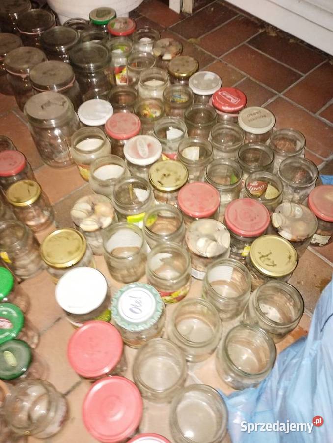 54 słoików 500 ml słoik słoiki wielkopolskie Poznań sprzedam