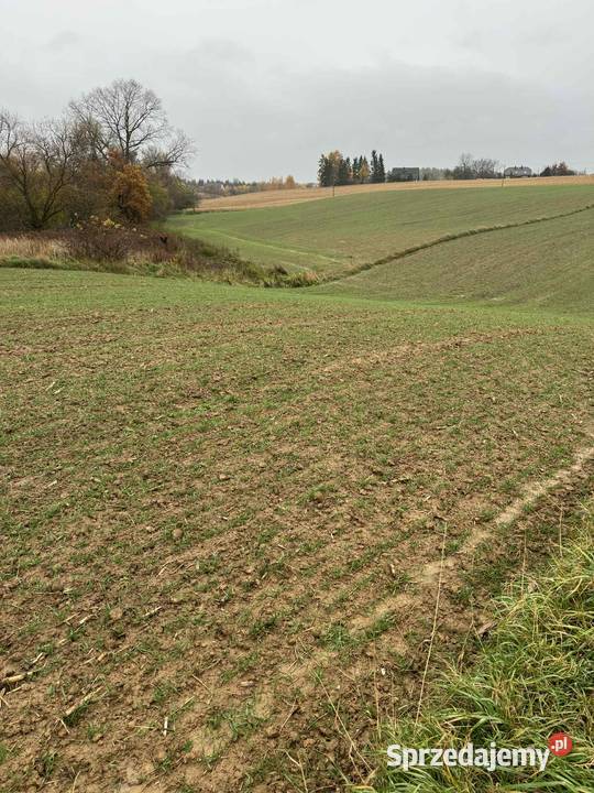 Działka 35 arów Krasieniec Stary prąd i woda małopolskie sprzedam