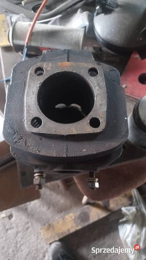 Cylinder dzik dzik 21 Pozostałe Tyczyn