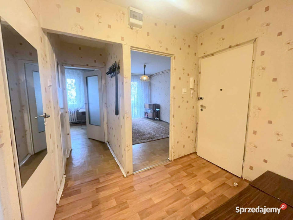 Wyczółkowskiego trzy pokoje zaraz Piętro 1 Gorzów Wielkopolski