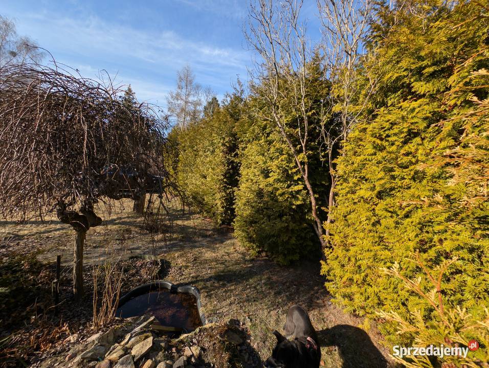 Działka z domkiem ROD Grochowa Gmina Piaseczno Grunty i działki sprzedam
