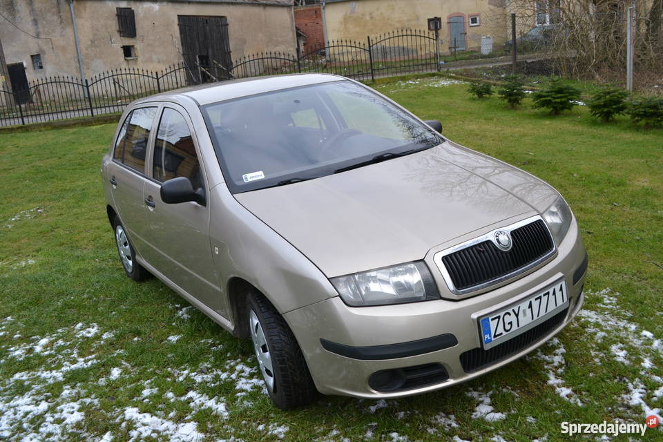 Skoda Fabia 1.2 Czaplin Wielki Sprzedajemy.pl
