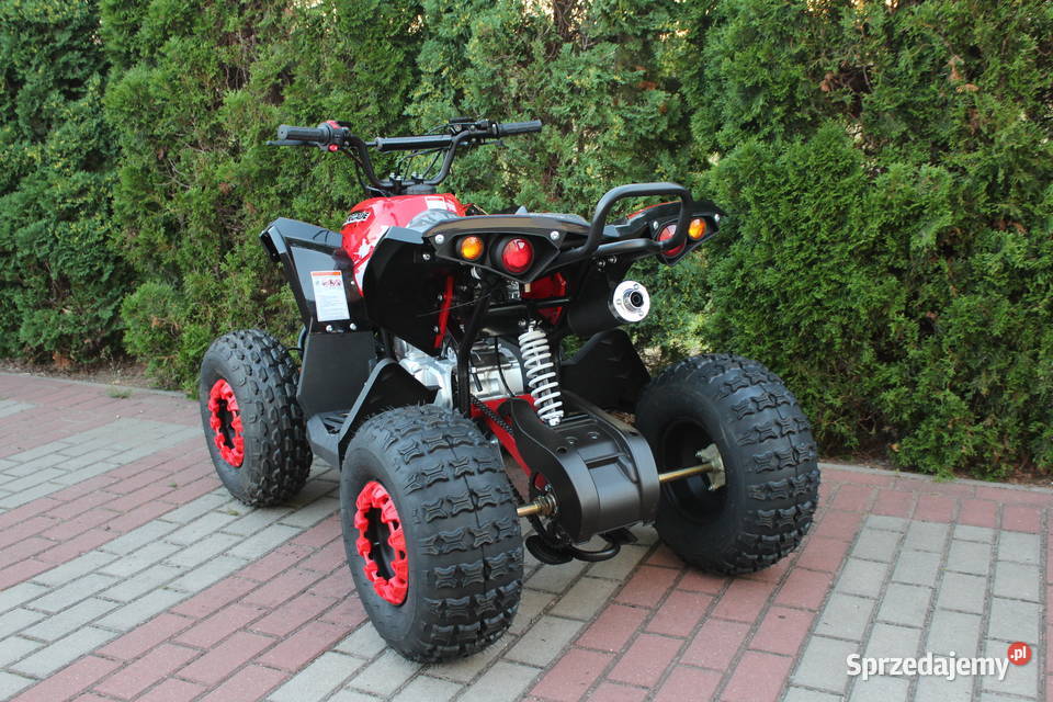 Quad RENEGADE 125 półautomat 31 Warrior Goleniów