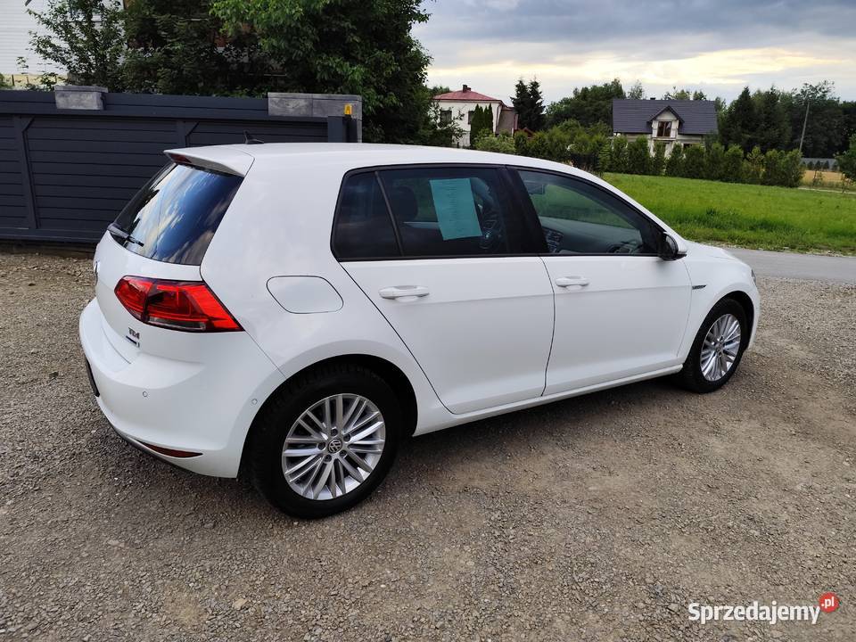 Volkswagen Golf VII 16 TDI 110 Golf Gorlice
