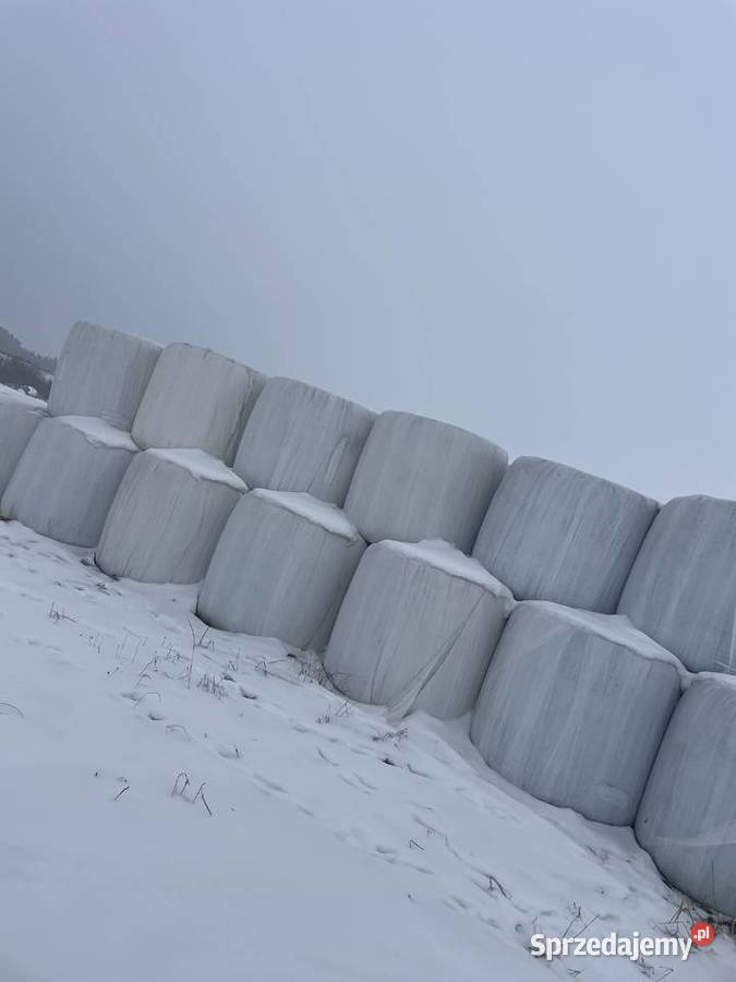 Bele sianokiszonki 3 Pokos Sterdyń