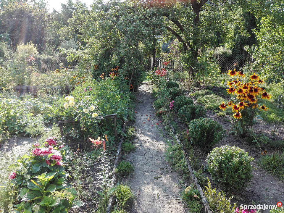 Działka relreacyjna