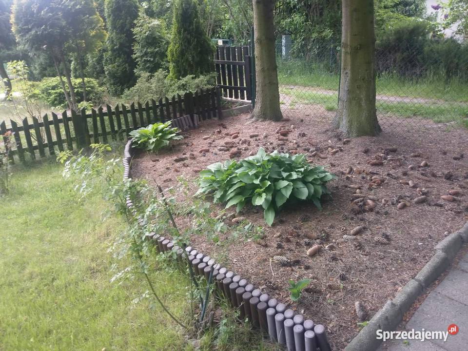 Sprzedam działkę ROD Łódź
