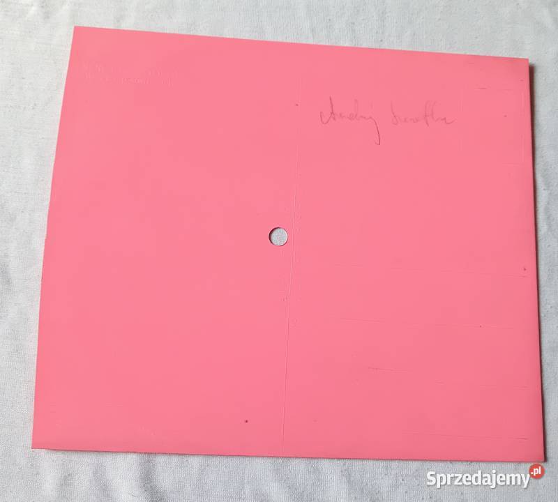 Pocztówka dźwiękowa Czerwone Gitary Niebieskooka Płyty i kasety Koźminek