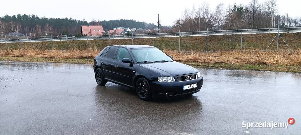 Audi a3 8l 19 tdi 130 Rok produkcji 2002 Tomaszów Lubelski